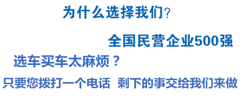 東風(fēng)天錦擺臂垃圾車(chē)（12方..(圖1)